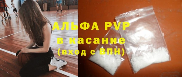 сатива Горняк