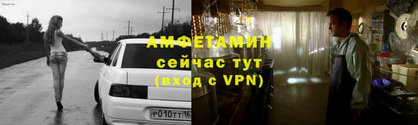 сатива Горняк