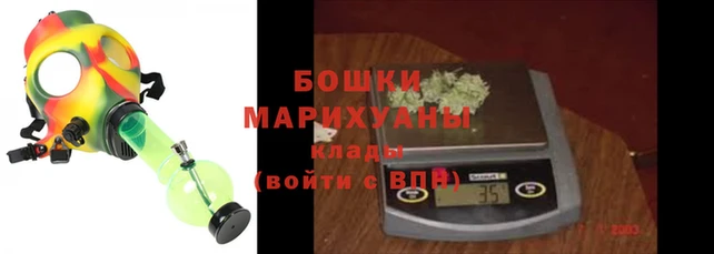 сатива Горняк