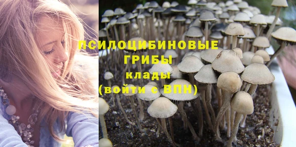 spice Горнозаводск